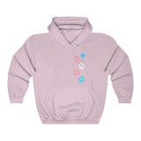 Cataholic Pride Hoodie - Trans Flag (LIMITED TIME OFFERING)